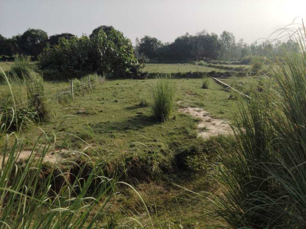 4800 SQFT Commercial Plot For Sale In Nigoha Lucknow