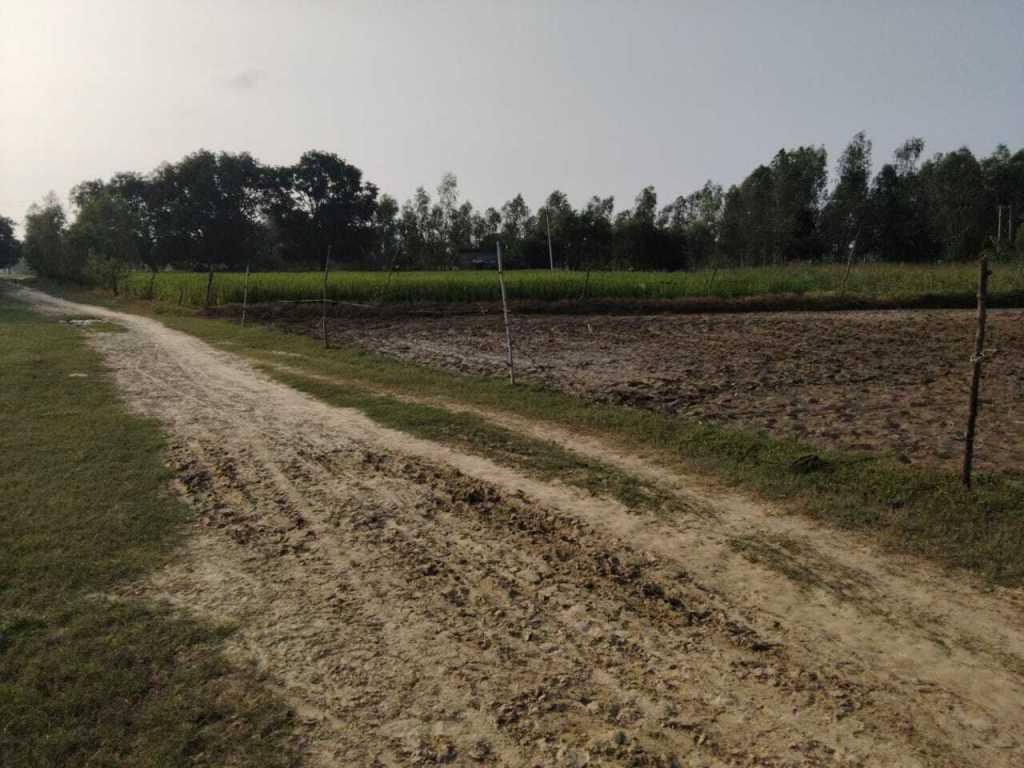 1 Bigha 15 Biswa Agri Land For Sale In Asrenda Purwa Unnao